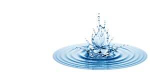 Sustainable Home Care – Greener Products in New Formats
